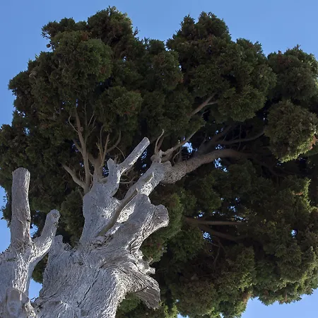 أجنحة ليغاسي شقة